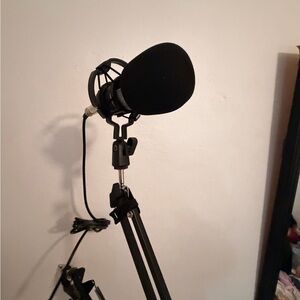 Michael Stars Black Microphone with Adjustable Stand